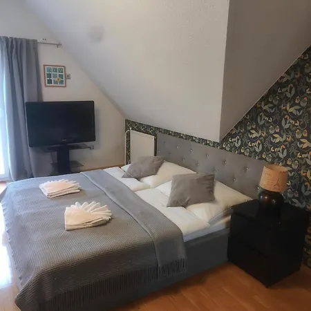 Orlan 布拉迪斯拉发